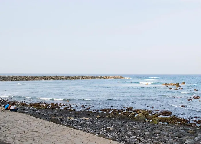 Live Puerto De La Cruz Las Palmeras
